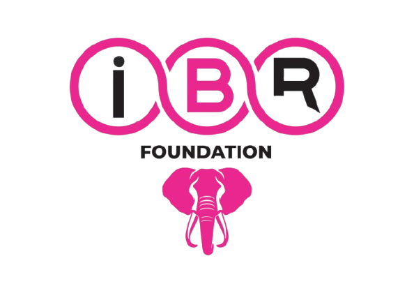 IBR Foundation logo